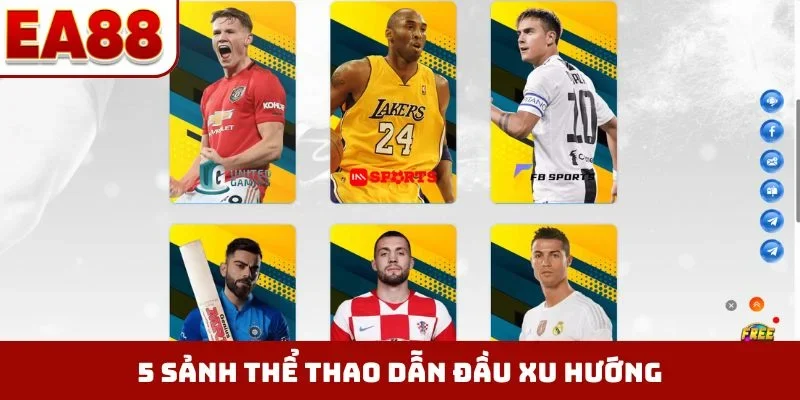 5 sảnh thể thao dẫn đầu xu hướng